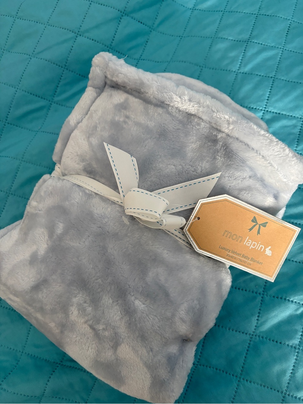 Mon Latin Plush Velvet Throw Blanket - baby blue